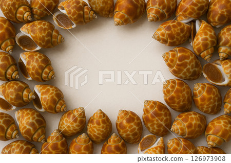 Fresh spotted babylon snails whole top view white 126973908