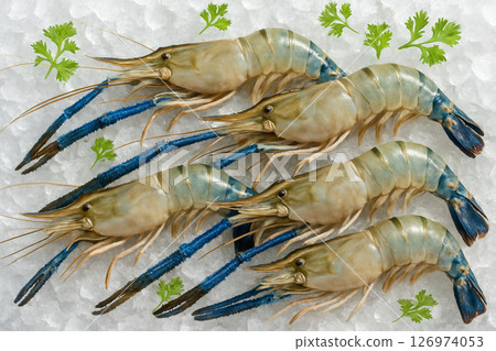 AI generated futuristic doctor analyzing glowing 3D intestine hologram above transparent tablet in clean high tech space symbolizing data driven digital medicine and advanced biomedical innovation 126974053