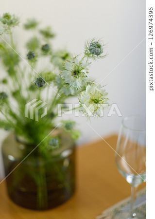 a bouquet of daisies in a glass vase stands on a table on a white background, a wine glass on the table, depth of field, side effect, defocus, macrophotography, bokeh a bouquet of daisies in a glass vase stands on a table on a white background, a wine glass on the table, depth of field, side effect, defocus, macrophotography, bokeh 126974396