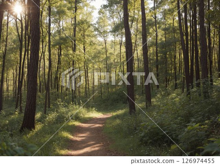Walk in the autumn forest 126974455