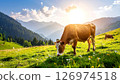 A brown cow grazing in a sunny mountain meadow with other cows and trees in the distance. 126974518
