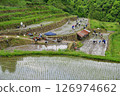 Rice terrace owners planting rice 126974662