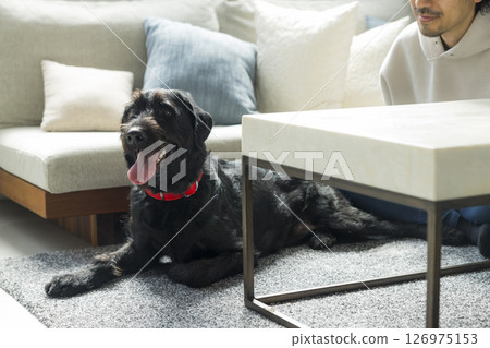 男人和他的狗一起放鬆 男人和他的狗一起放鬆 126975153