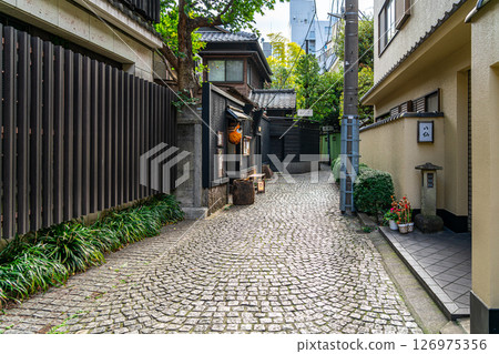 [Tokyo] The charming alleys of Kagurazaka 126975356