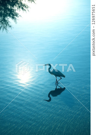 A calming background image with tranquil water and birds A calming background image with tranquil water and birds 126975651