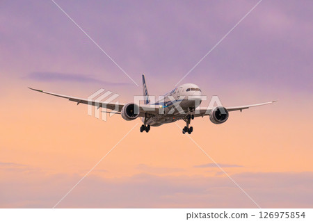 日落和飛機 日落和飛機 126975854
