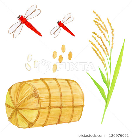 手繪水彩畫，描繪秋季稻穗、紅蜻蜓和稻捆 126976031