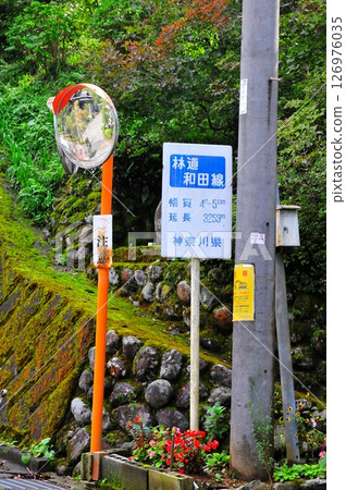 神奈川縣這邊的神馬高速公路是神奈川縣立林道和田線。 126976035