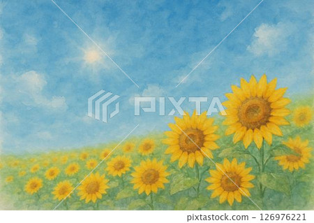 向日葵領域藍天 向日葵領域藍天 126976221