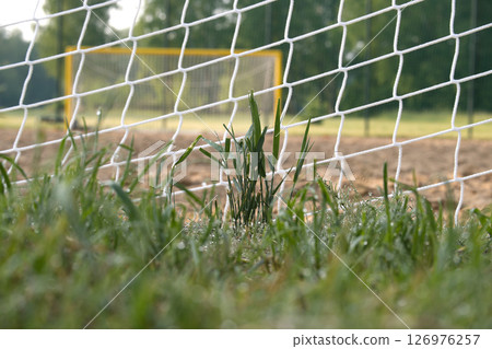 A close-up perspective of a soccer net and vibrant green grass in a sunny field. A close-up perspective of a soccer net and vibrant green grass in a sunny field. 126976257