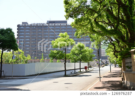 Hyogo Prefectural Government Office Building 126976287