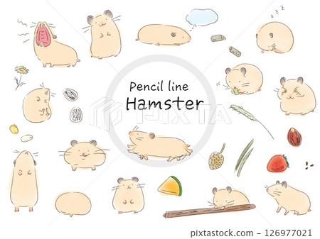 Syrian hamster pencil watercolor style illustration set 126977021