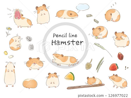 Golden hamster pencil watercolor style illustration set 126977022