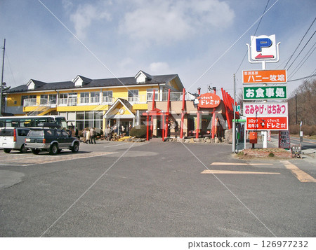 栃木縣那須鹽原市的蜂蜜農場 126977232