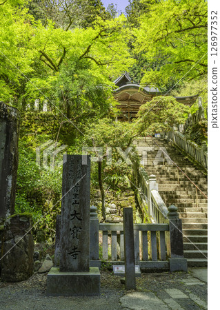 44th of the 88 Shikoku Temples: Daihoji Temple stone steps, Kumakogen Town, Ehime Prefecture 126977352