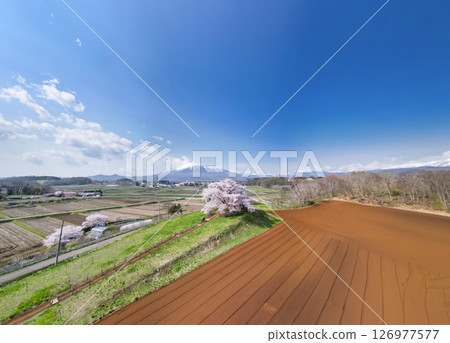 Aerial view of Mt. Iwate and the single cherry tree of Tamenai, Hachimantai City, Iwate Prefecture Aerial view of Mt. Iwate and the single cherry tree of Tamenai, Hachimantai City, Iwate Prefecture 126977577