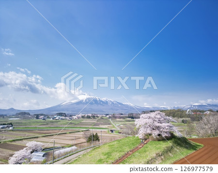 岩手縣八幡平市岩手山與玉內櫻的鳥瞰圖 岩手縣八幡平市岩手山與玉內櫻的鳥瞰圖 126977579