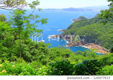 繡球花園和太平洋(宮崎縣門川町桃源峽) 繡球花園和太平洋(宮崎縣門川町桃源峽) 126977615