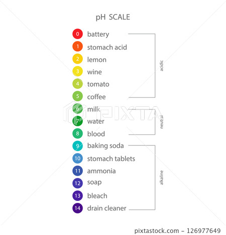 PH Scale. Gauge for acid and alkaline balance. Scale indicator for litmus paper test. Flat Vector illustration PH Scale. Gauge for acid and alkaline balance. Scale indicator for litmus paper test. Flat Vector illustration 126977649