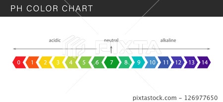 PH Scale. Gauge for acid and alkaline balance. Scale indicator for litmus paper test. Flat Vector illustration 126977650