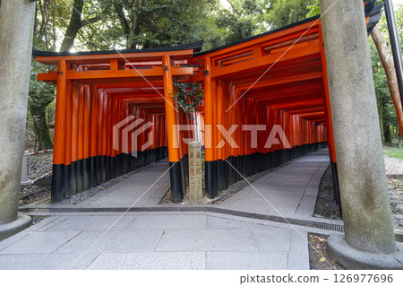 Kyoto Fushimi Inari Taisha Senbon Torii 126977696