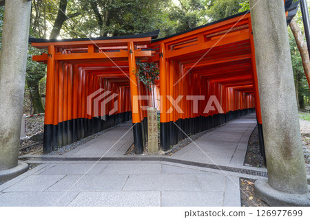 Kyoto Fushimi Inari Taisha Senbon Torii 126977699