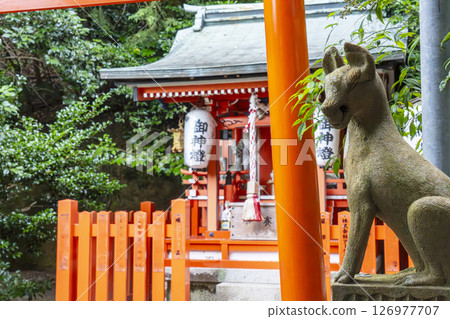 Otoyo Shrine Inari Shrine and Komagitsune (Kyoto Philosopher's Path) 126977707