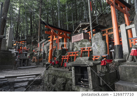 Fushimi Inari Taisha Shinike Tsutsumi A large number of shrines and mounds Fushimi Inari Taisha Shinike Tsutsumi A large number of shrines and mounds 126977710