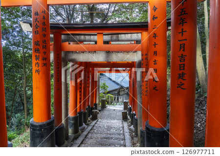 Kyoto, Fushimi Inari Taisha Shrine, Senbon Torii, from Mitsutsuji to Yotsutsuji Kyoto, Fushimi Inari Taisha Shrine, Senbon Torii, from Mitsutsuji to Yotsutsuji 126977711
