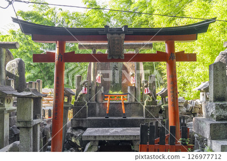 Kyoto Fushimi Inari Shrine Hakuryu Okami 126977712