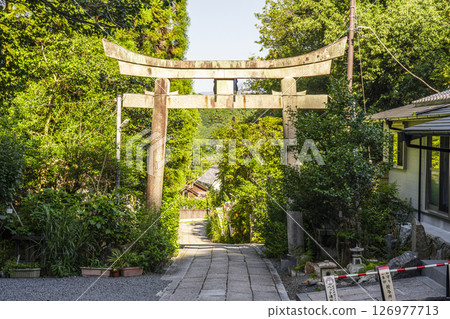 Kyoto Philosopher's Path Otoyo Shrine Approach Kyoto Philosopher's Path Otoyo Shrine Approach 126977713