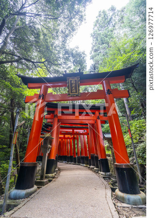 Kyoto Fushimi Inari Taisha Shrine Thousands of torii gates Kyoto Fushimi Inari Taisha Shrine Thousands of torii gates 126977714