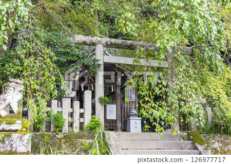 Kyoto Philosopher's Path Otoyo Shrine Main Hall Kyoto Philosopher's Path Otoyo Shrine Main Hall 126977717