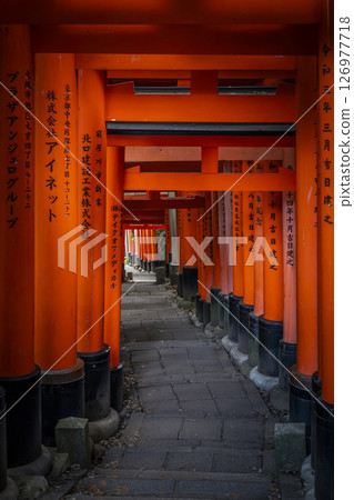 Kyoto, Fushimi Inari Taisha Shrine, Senbon Torii, from Mitsutsuji to Yotsutsuji 126977718