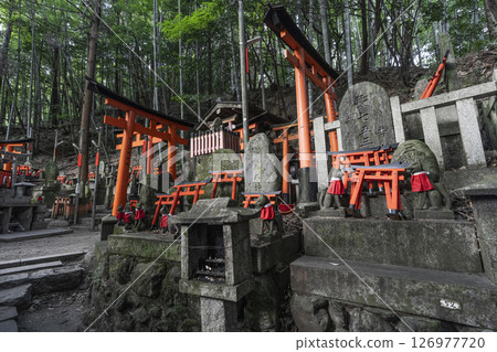 Fushimi Inari Taisha Shinike Tsutsumi A large number of shrines and mounds Fushimi Inari Taisha Shinike Tsutsumi A large number of shrines and mounds 126977720