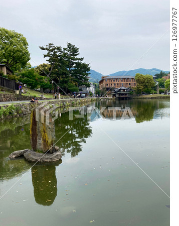 Sarusawa池塘 126977767