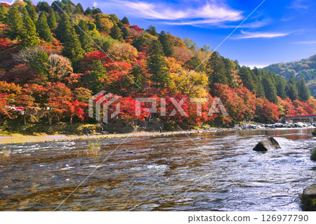 香嵐溪巴川沿岸的紅葉美景 126977790