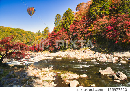 沿Yodogawa的美麗的秋葉 126977820