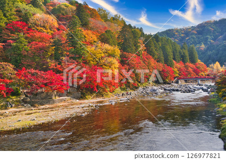沿Yodogawa的美麗的秋葉 126977821