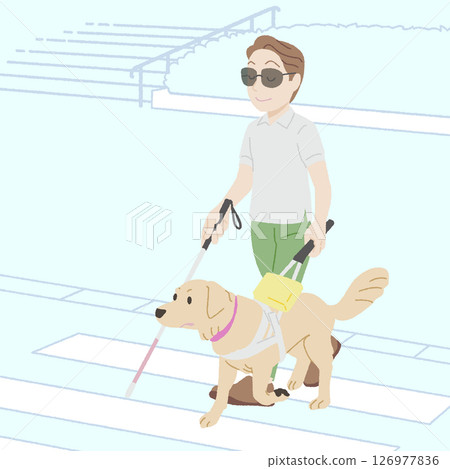 導盲犬穿過手繪人行橫道 126977836