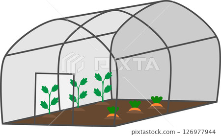 乙烯基溫室的簡單插圖材料 126977944