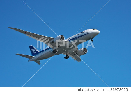 A passenger plane approaching Haneda Airport, seen from Jonanjima Seaside Park on a clear winter day A passenger plane approaching Haneda Airport, seen from Jonanjima Seaside Park on a clear winter day 126978023