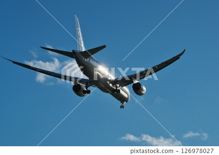 A passenger plane about to land at Haneda Airport, seen from Jonanjima Seaside Park on a clear winter day. The aircraft sparkles in the backlight. 126978027