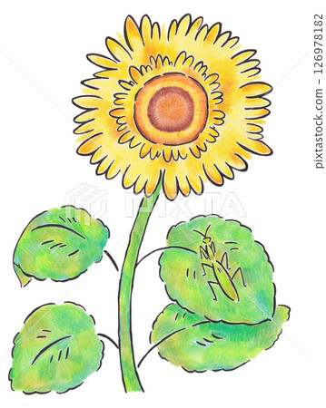 向日葵和螳螂插圖 126978182