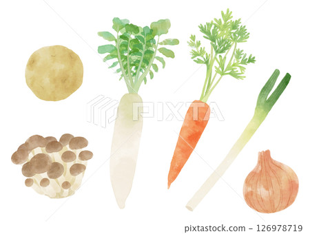 6種家常蔬菜（馬鈴薯、姬菇、白蘿蔔、胡蘿蔔、白洋蔥、洋蔥） 126978719