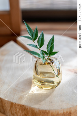 A small plant in a modern Japanese space 126978806