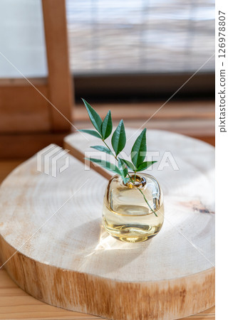 A small plant in a modern Japanese space A small plant in a modern Japanese space 126978807