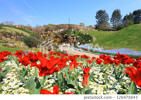 [Kagawa Prefecture] Sanuki Manno National Park (Shoryu Falls and flower fields) 126978843