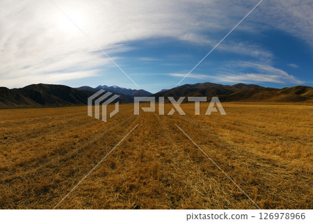Vast Harvested Field in Mountain Valley Vast Harvested Field in Mountain Valley 126978966