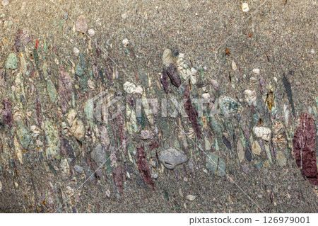 Close-up of Anisotropic Sedimentary Metamorphic Rock with Recrystallized Pebbles 126979001